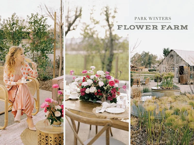 Park Winters Flower Farm