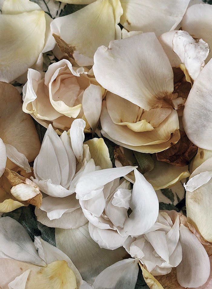 flower petals
