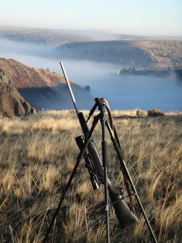 Upland Game Birds and Mule Deer, a Western Treat