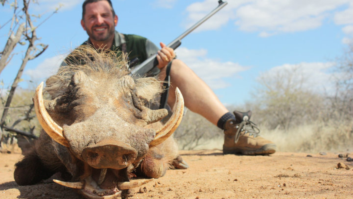 Warthogs and Rhinos