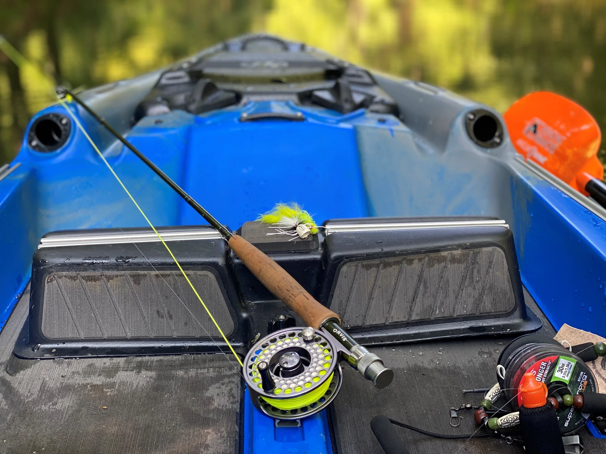mayfly1.jpg