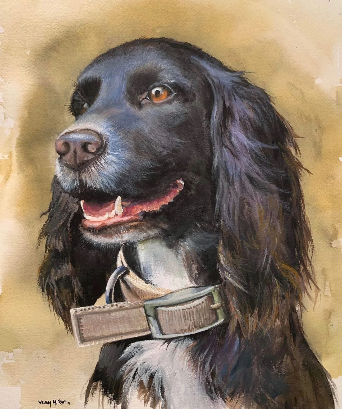 Royal, by William Rhett in Beaufort S.C. #englishcockerspaniel #sunsagesportingdogs #sportingdogs #sportingart #workingdog #workingdogs