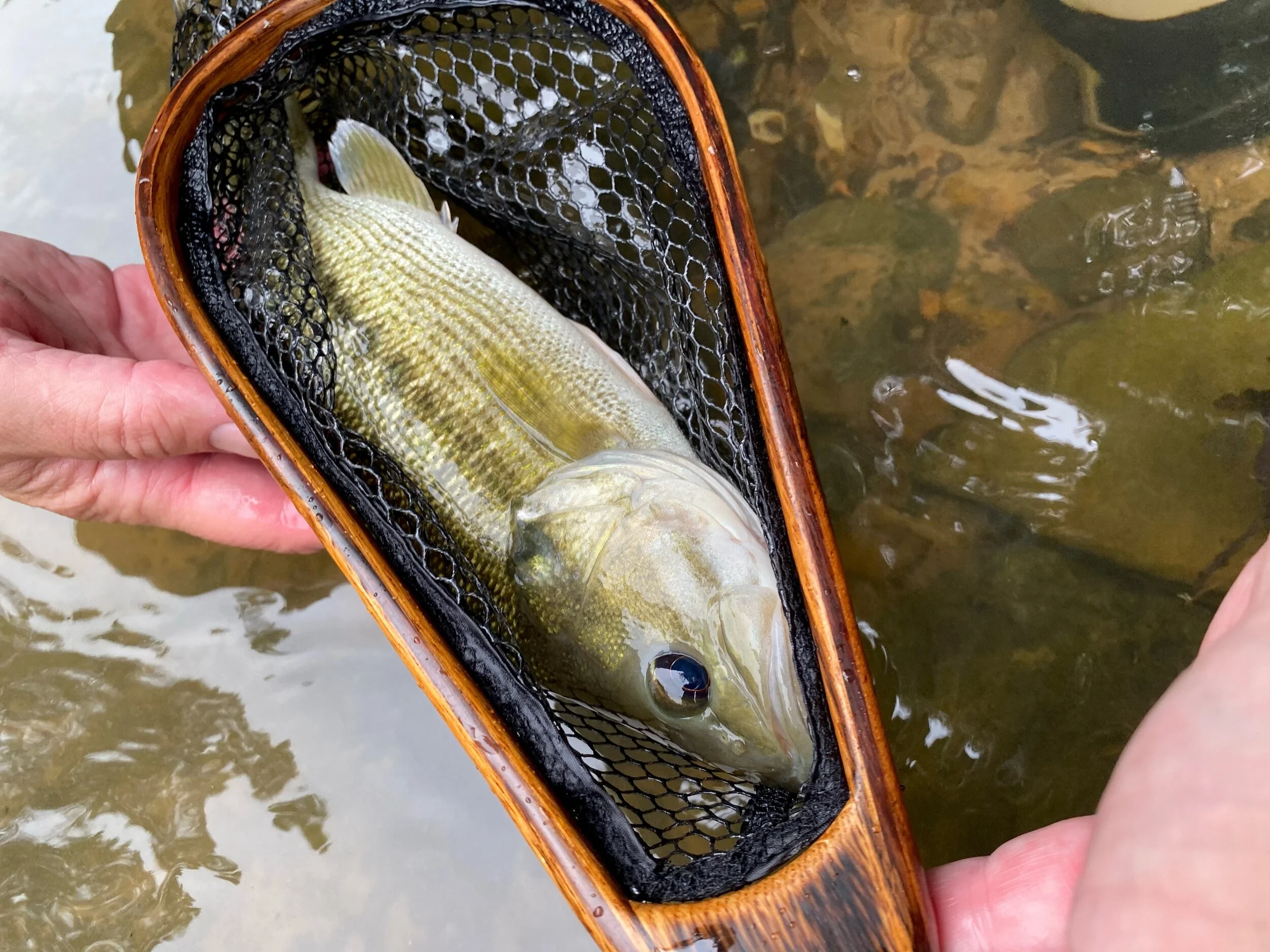 Heart Wood Trade Landing Nets