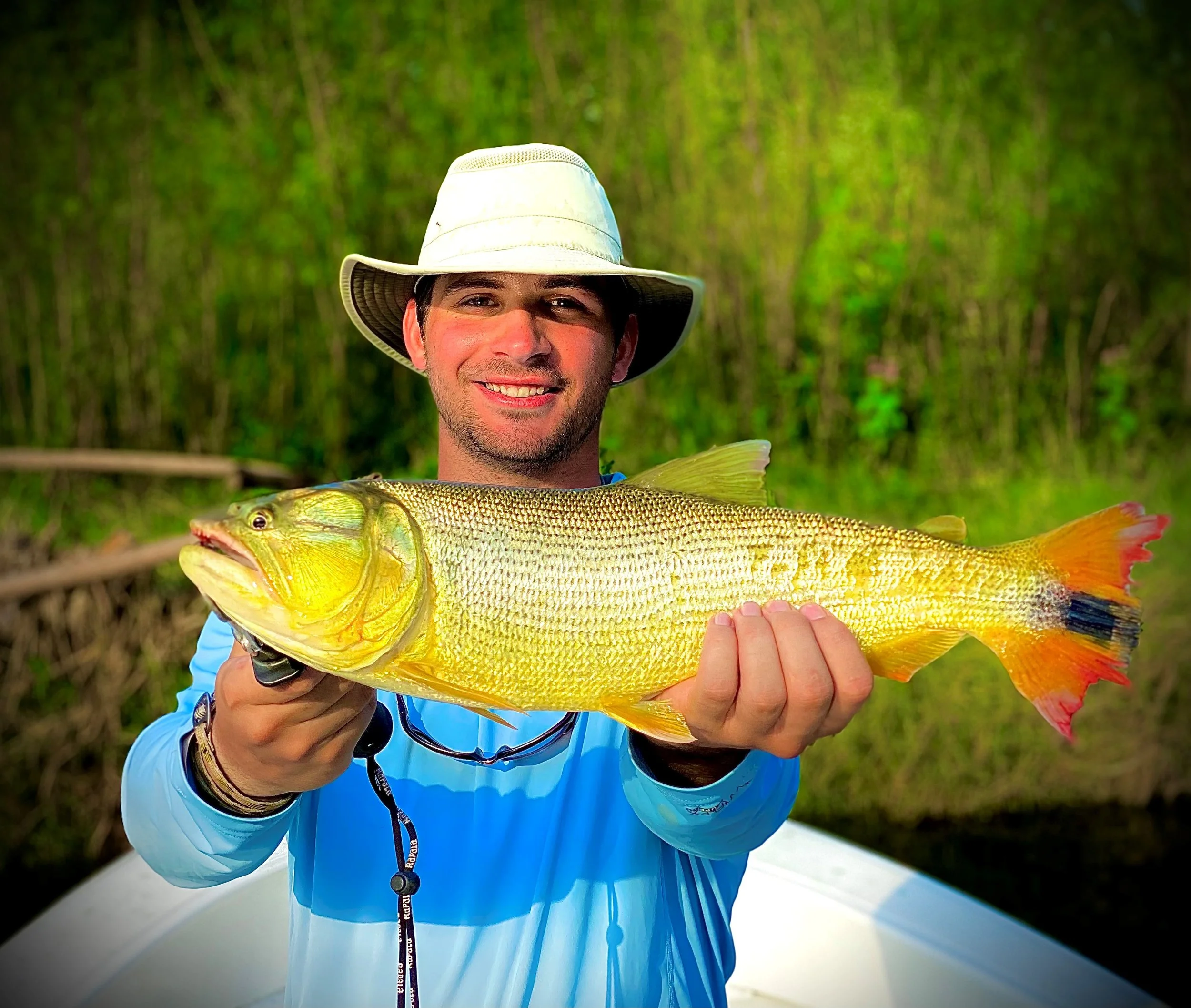 Golden Fish and Bird Filled Skies over Argentina 