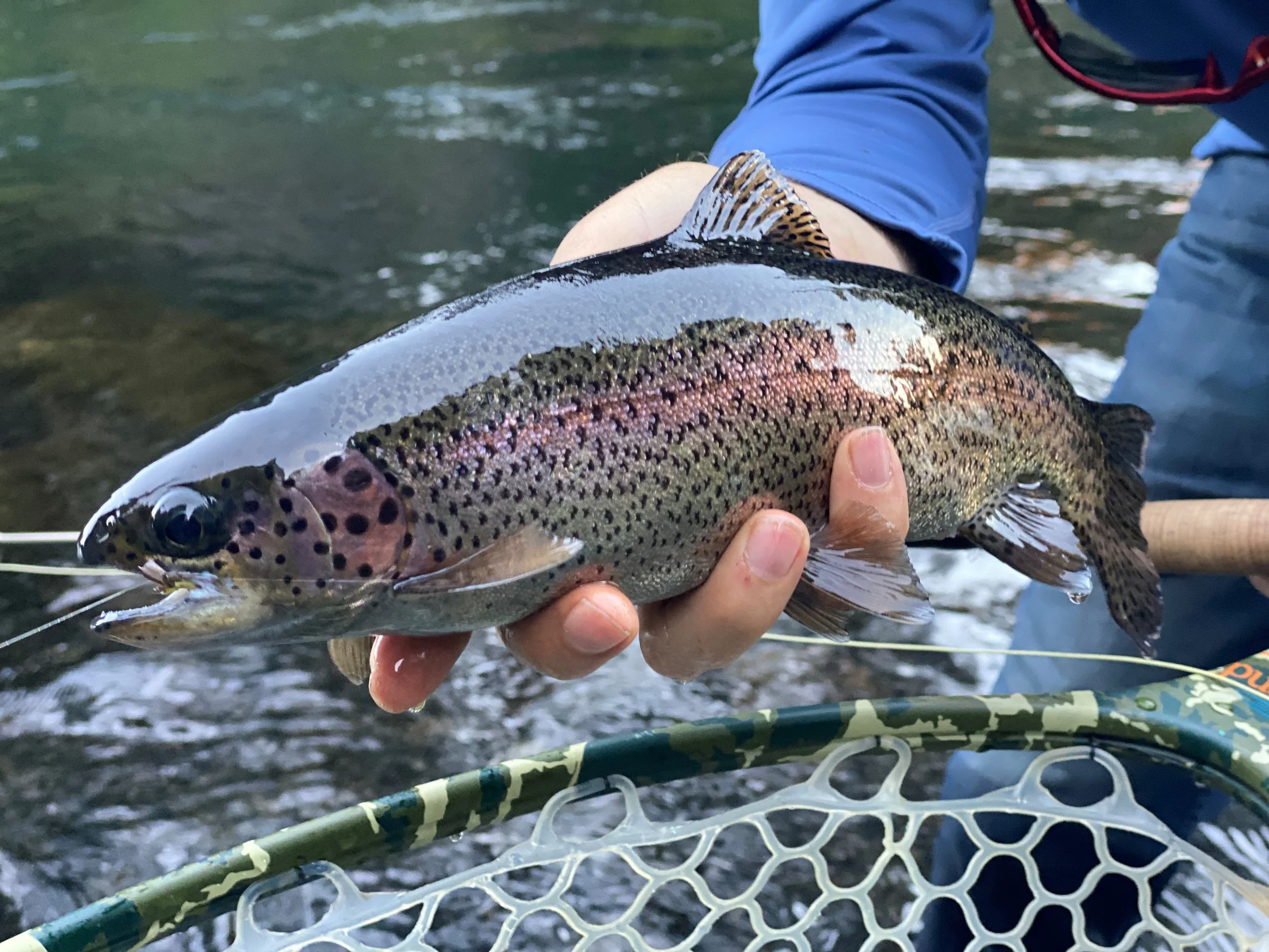 Fly Fishing on the Oregon Trail