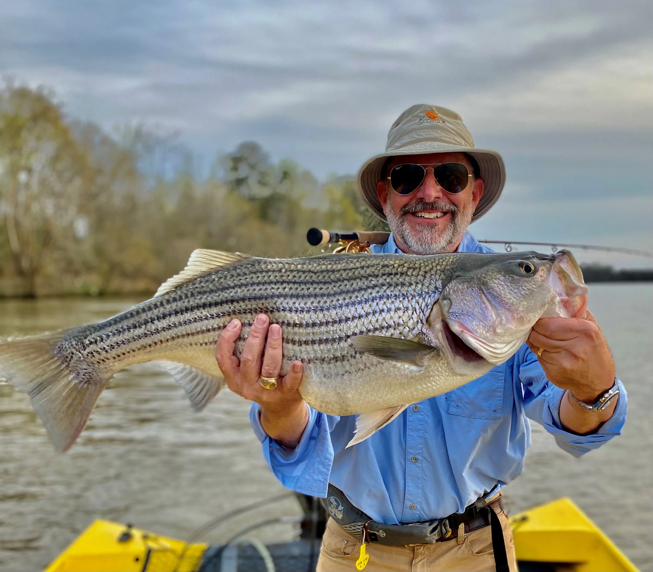 Coosa River Stripe Bass on the Fly