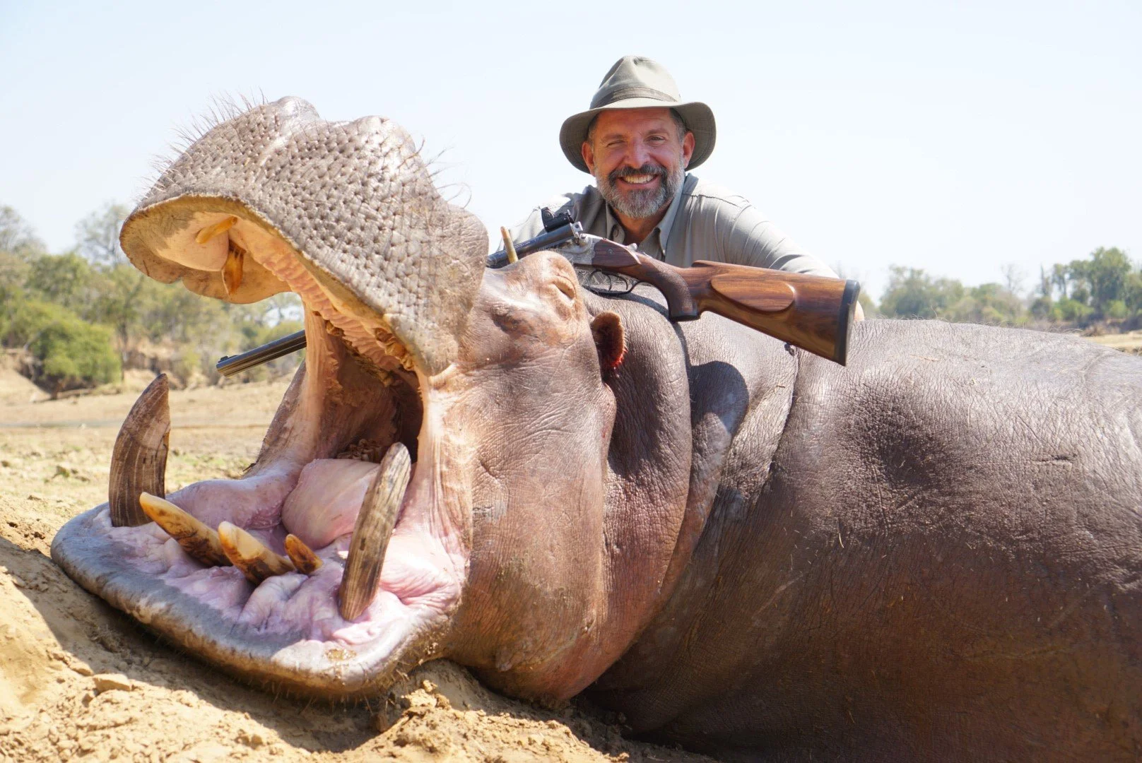 Hungry Hungry Hippo