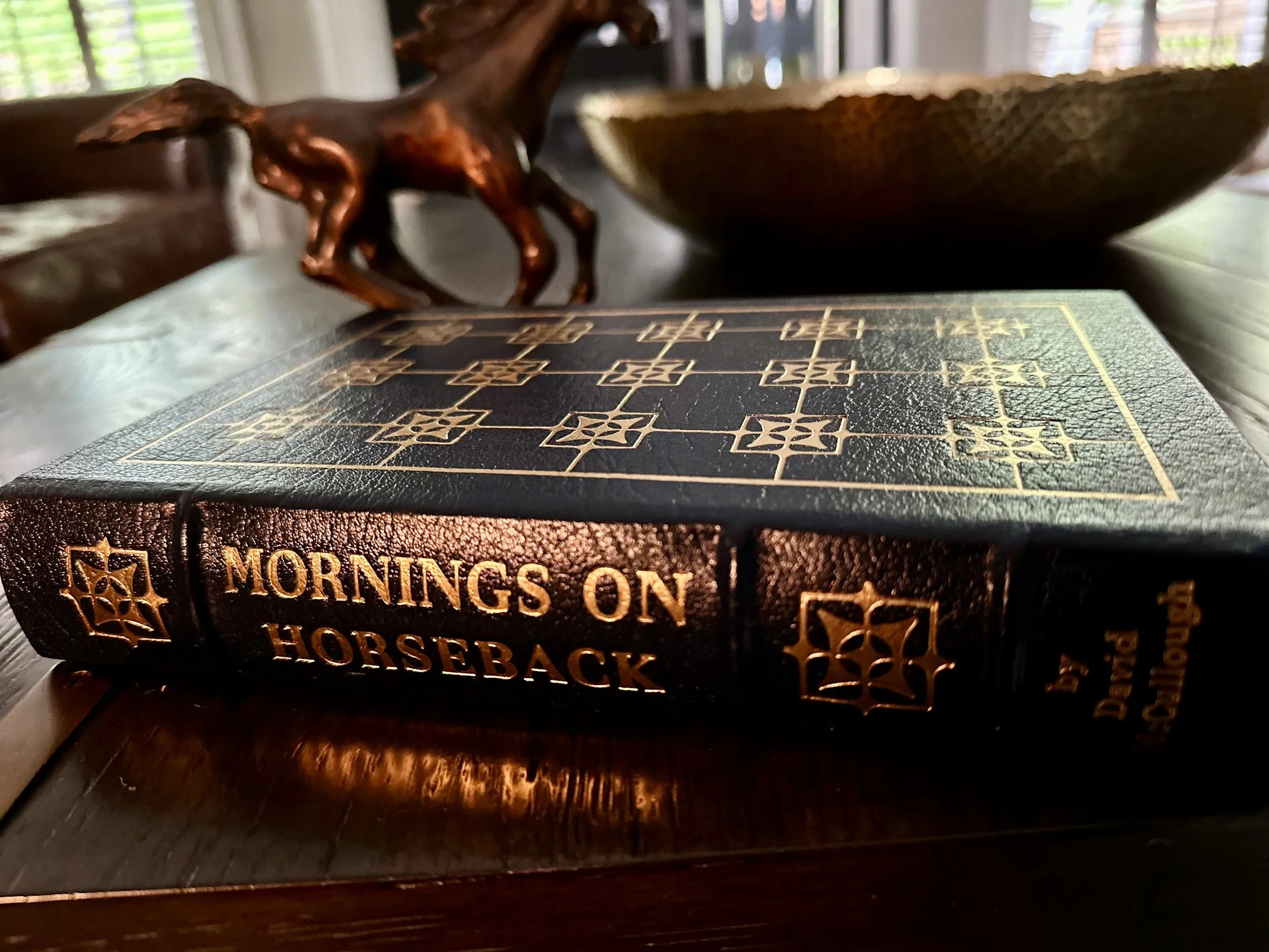 A Captivating Portrait of Young Theodore Roosevelt in "Mornings on Horseback" by David McCullough