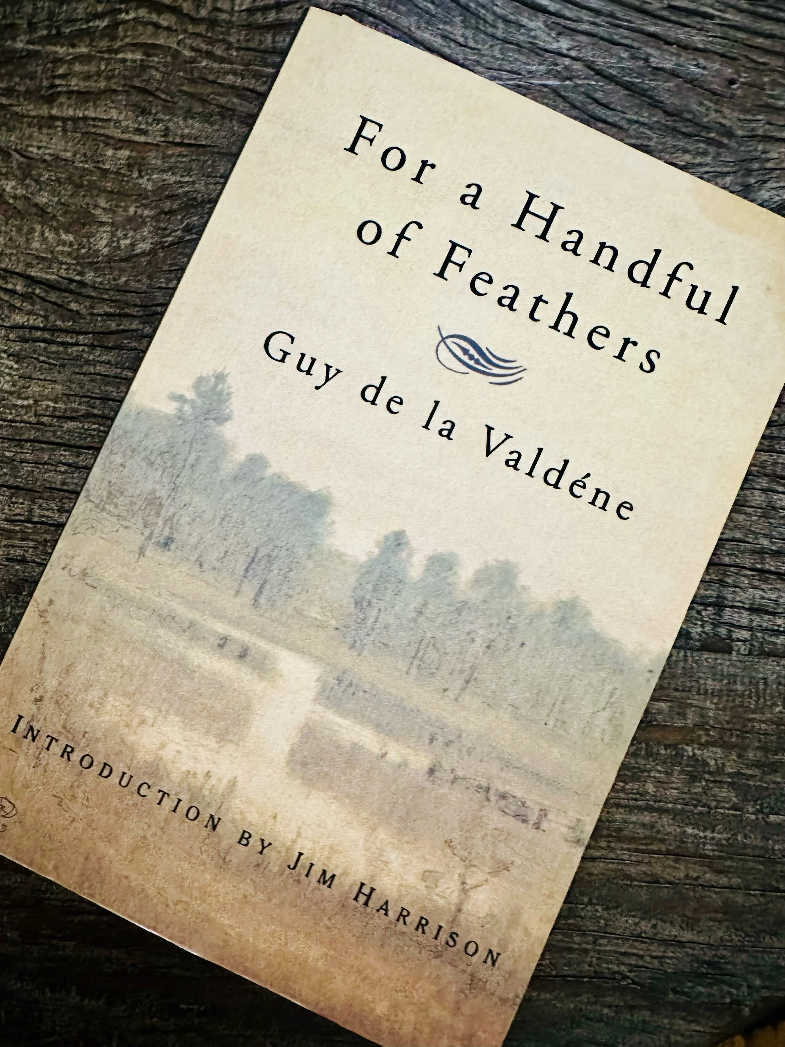 For a Handfull of Feathers, Guy de la Valdene