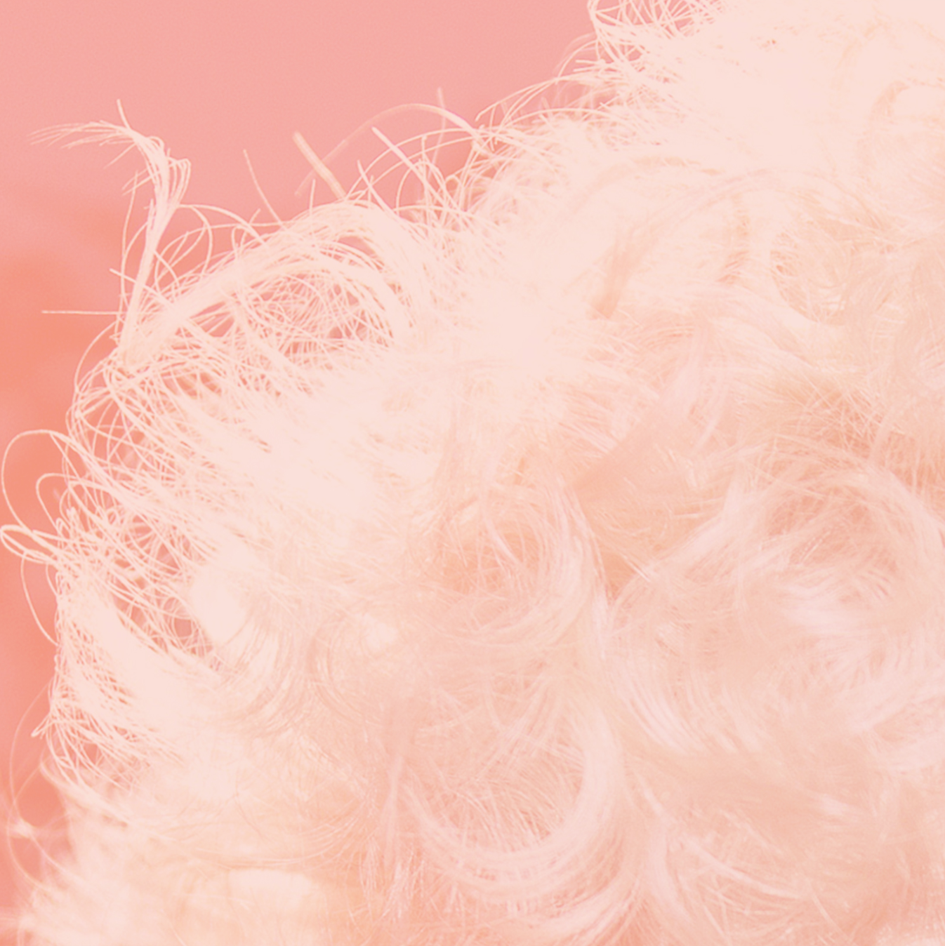 Screenshot 2019-07-24 03.15.02.png