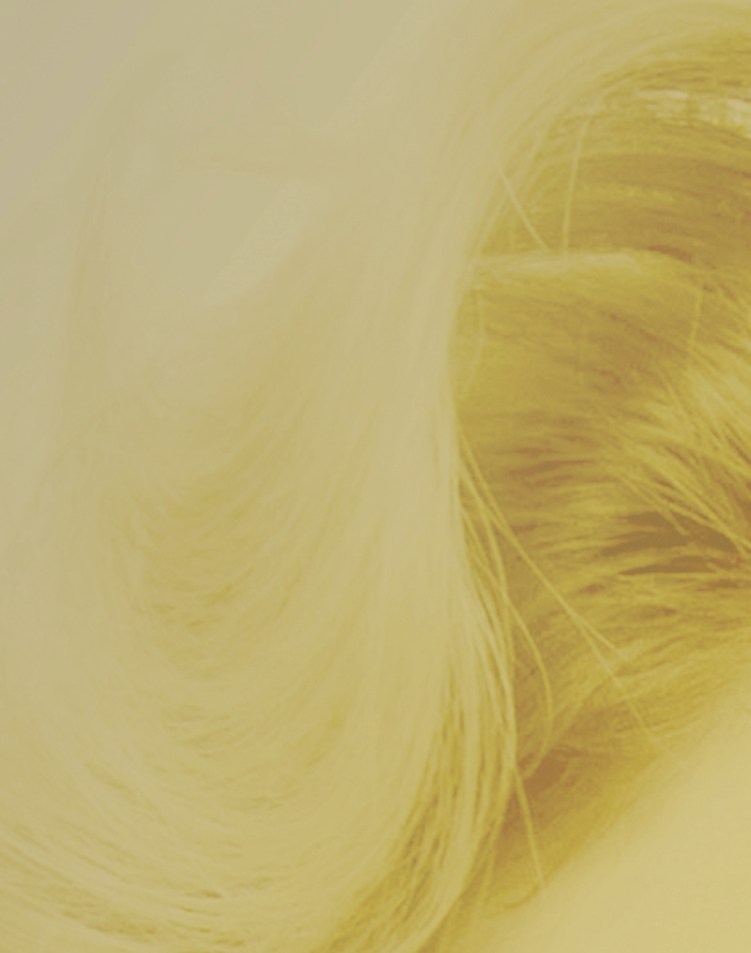 Screenshot 2019-07-24 03.15.33.png