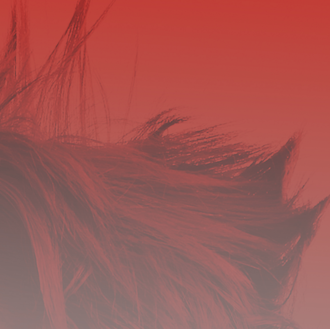 Screenshot 2019-07-24 03.16.12.png