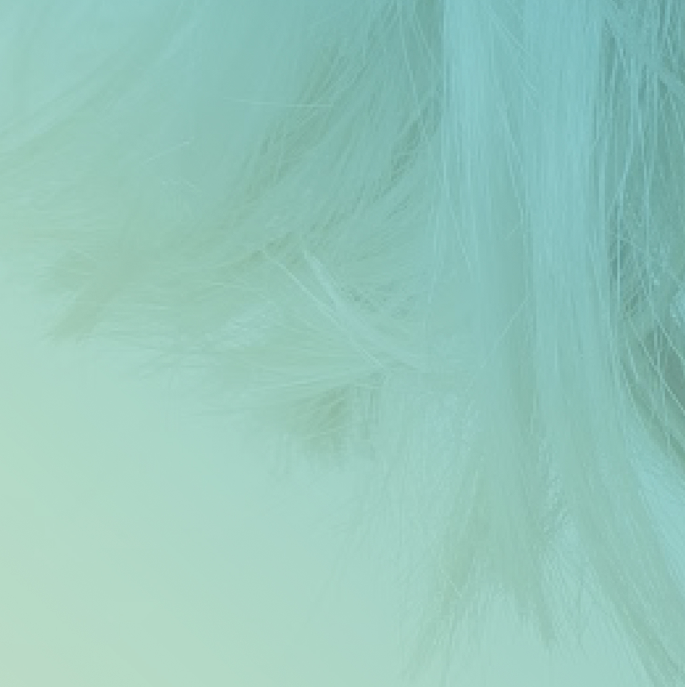 Screenshot 2019-07-24 03.16.29.png