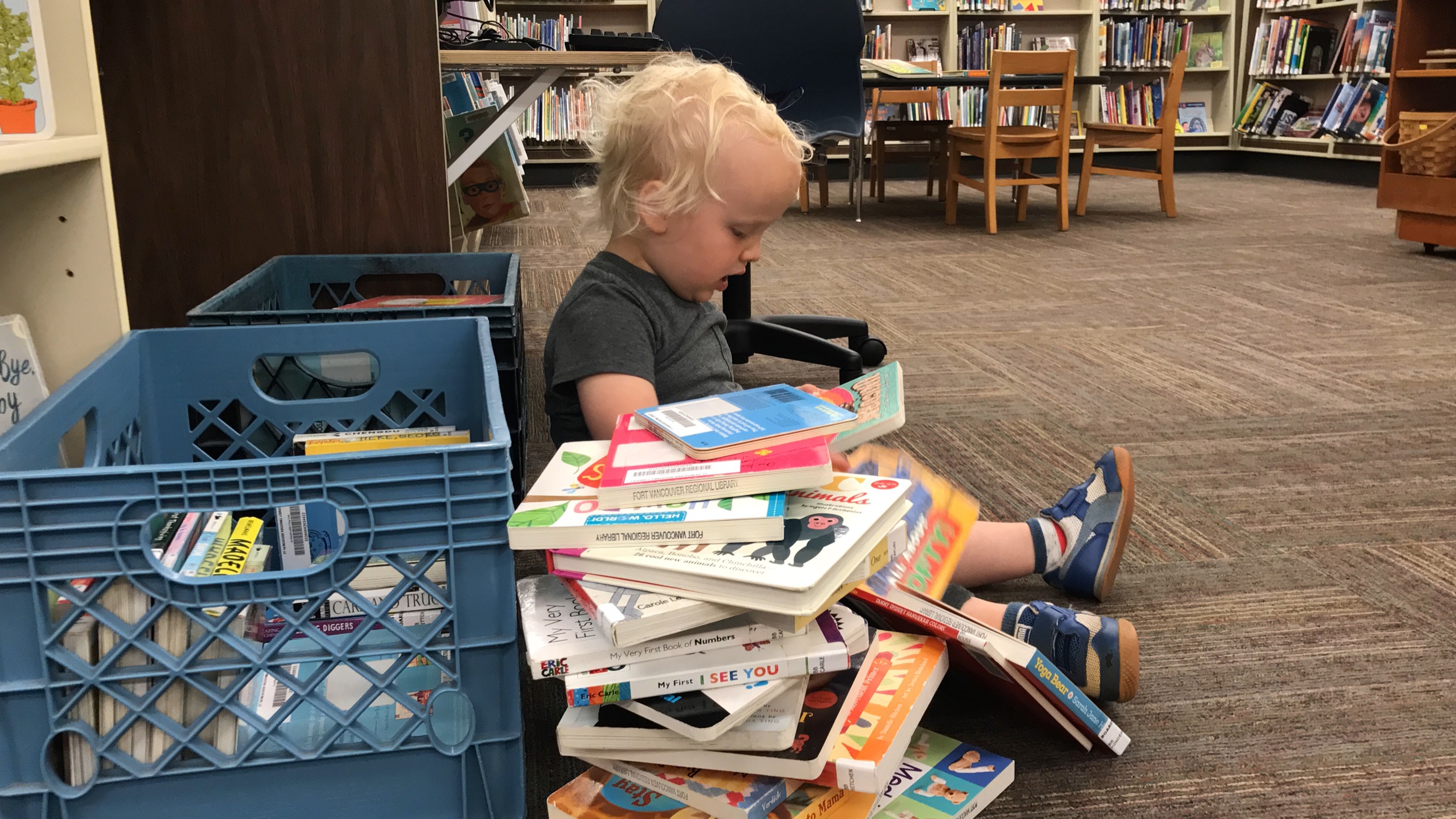 A toddler-age boy reads next to a giant stack of books in the Washougal Library.