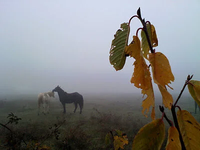 Where in the world are you, Matt? or, I wish I was successful enough to leave $20 tips for the baristas.