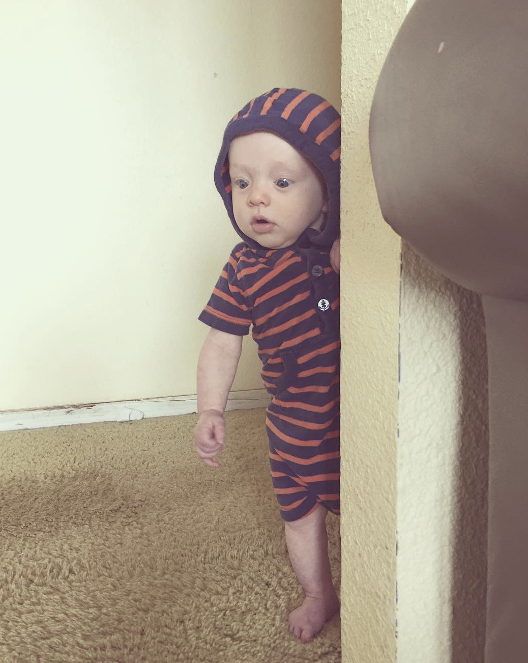 They grow up fast-ish.
