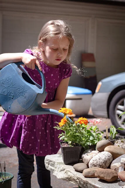 Under the heartbeat of a May sun.