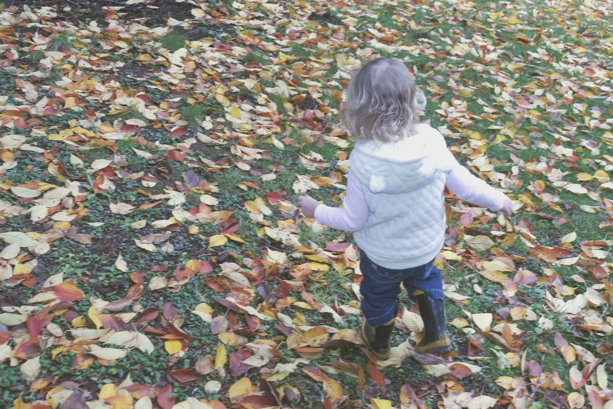 2-year old girl hiking and exploring in leaves outside.