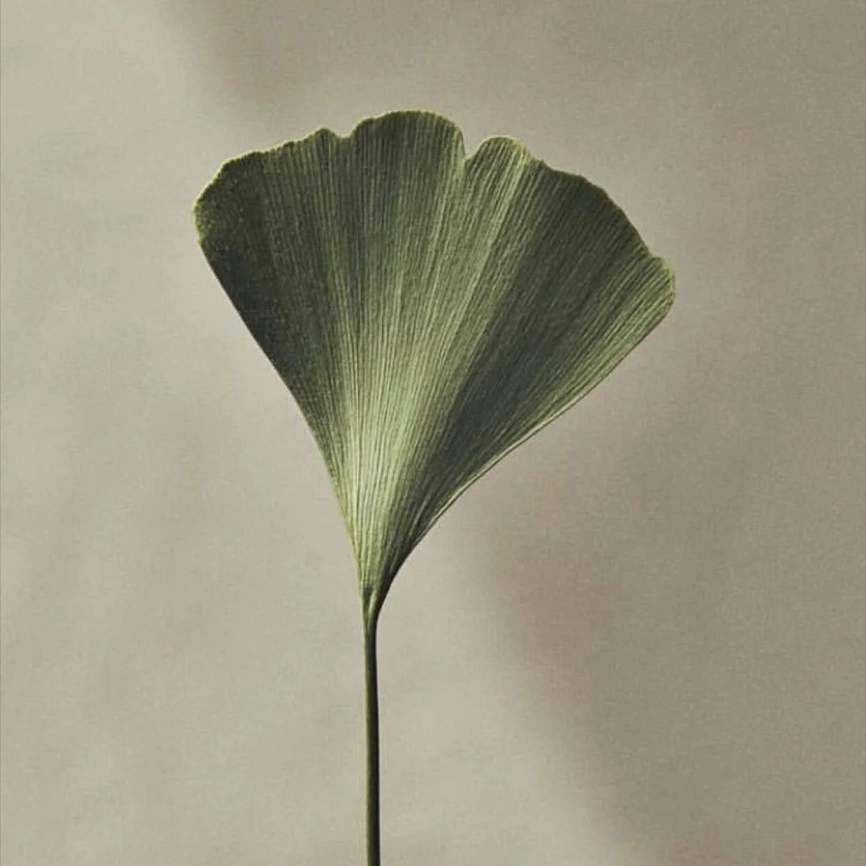 Every bit of growth is a new version of you, no matter how big or small.

Look back on the past versions of you like they&rsquo;re old friends, and thank them for the work they did..thank yourself in this very moment! You needed to be that exact vers