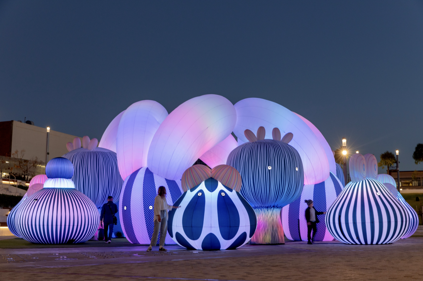 FULL EVENT PROGRAM FOR JUNCTION ARTS FESTIVAL 2025 UNVEILED