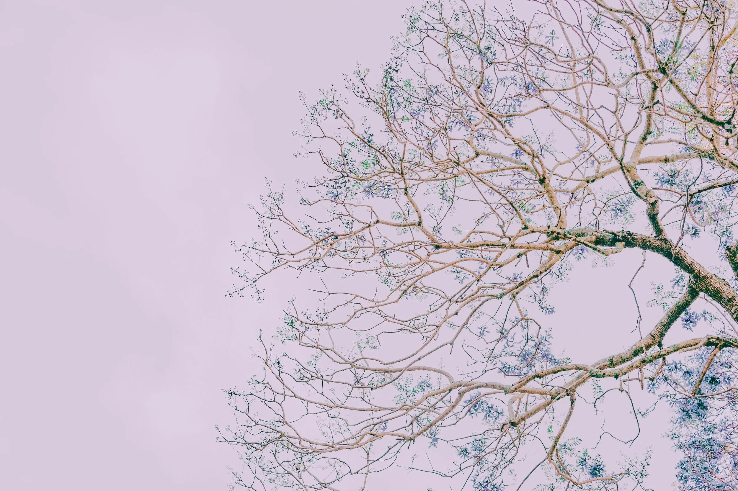 Postpartum Depression vs. Normal Adjustment: How to Tell the Difference