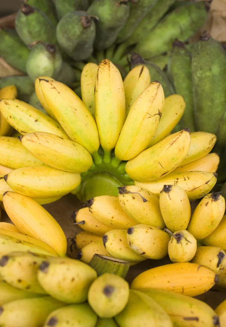 CC2AC6BD-1DBC-4A80-93F9-AB0210002283