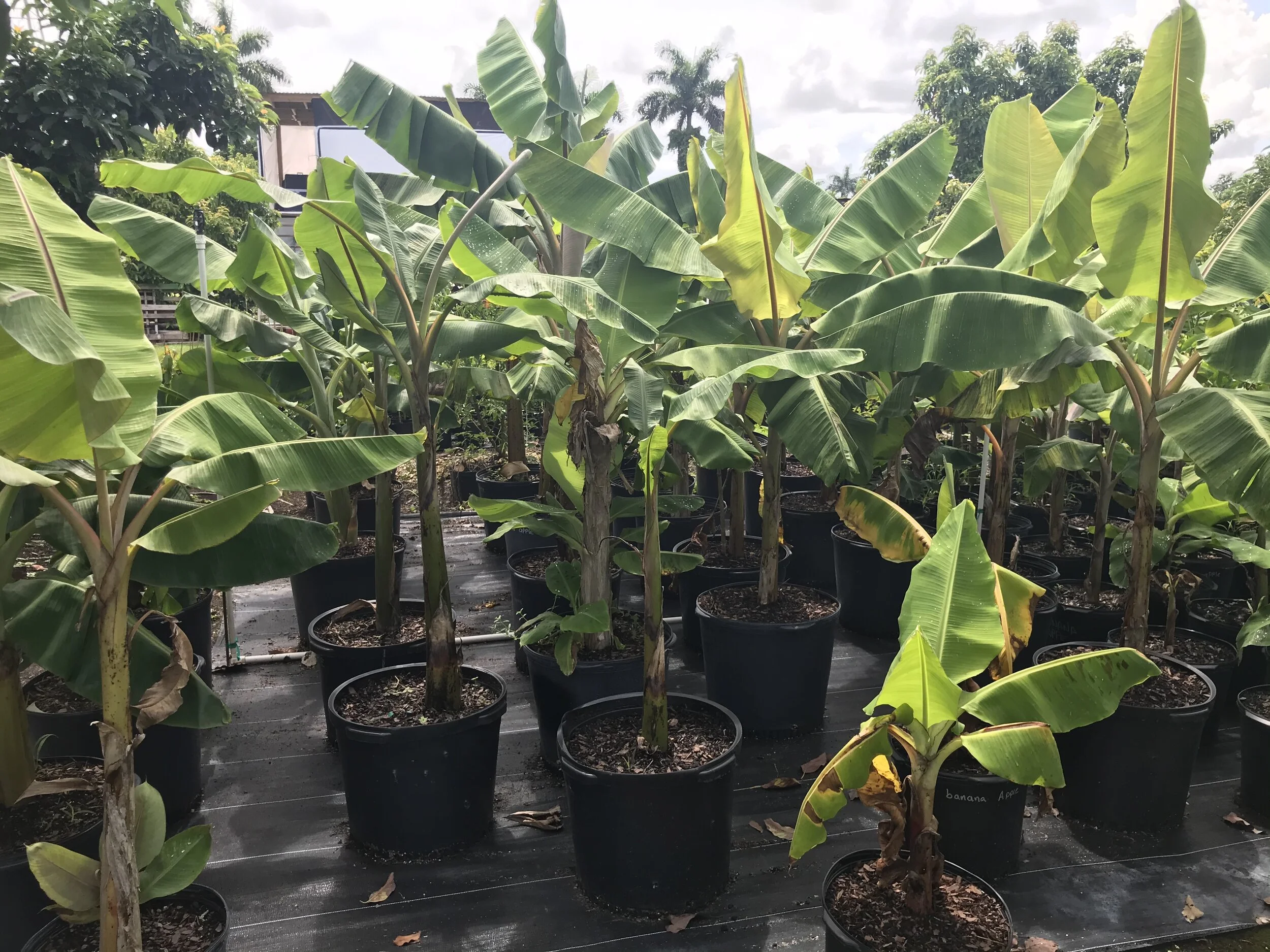 FF222EC4-A883-40CE-805F-1658ADF7B8C0