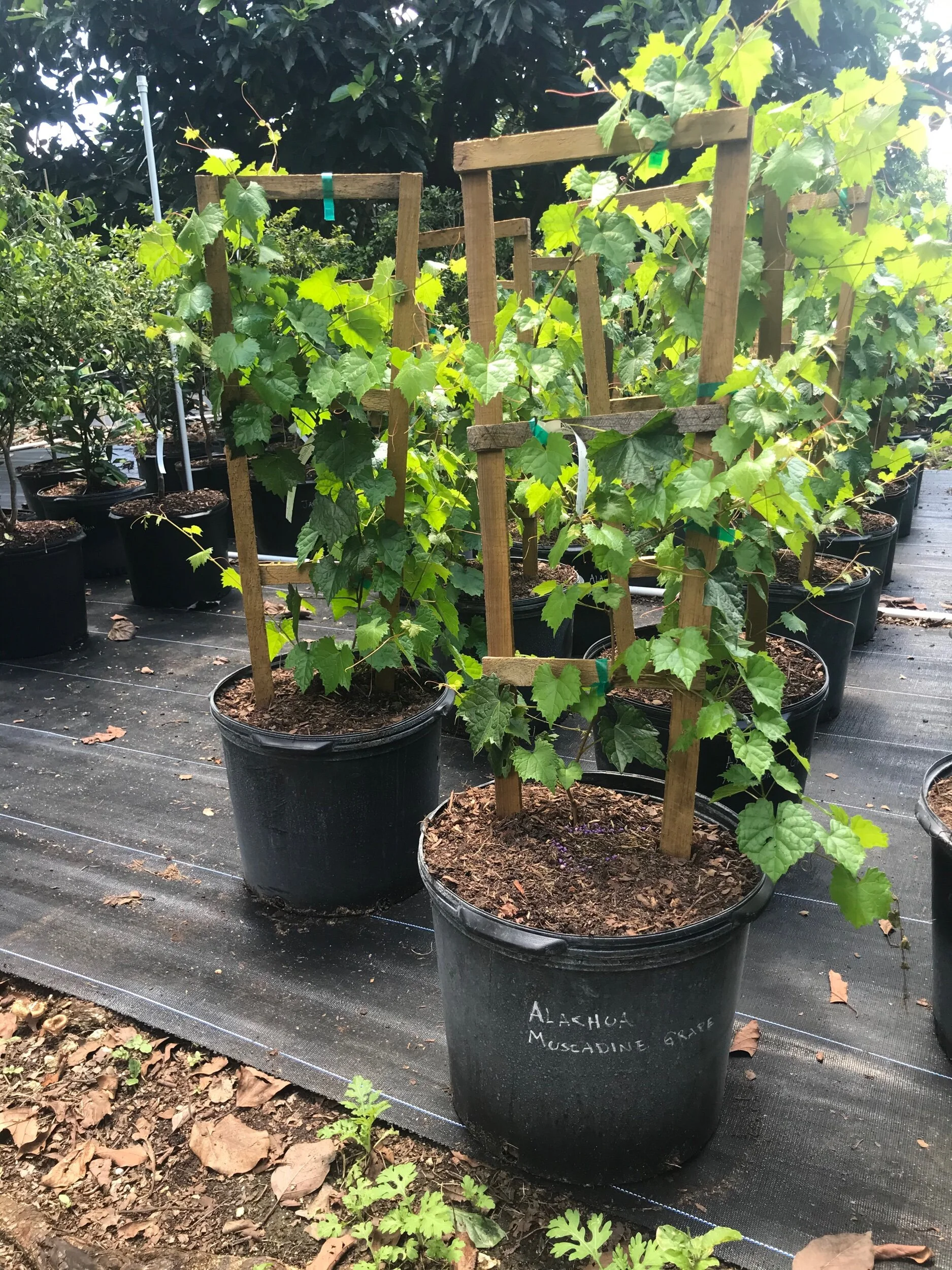 D5A05E52-7848-458D-BE3E-05B4CF333400