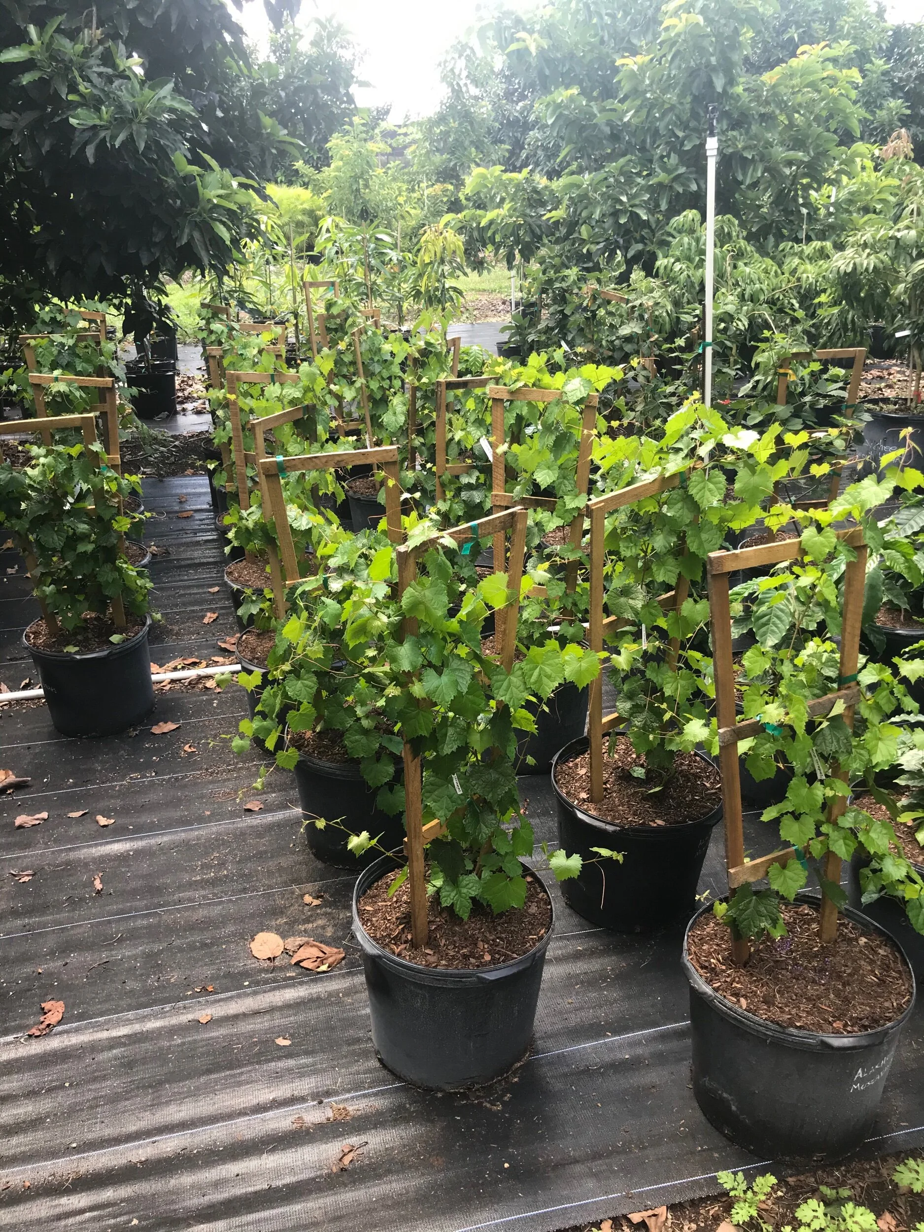 6953E5BF-0B97-4ACF-AA82-4F846ACA1ABD