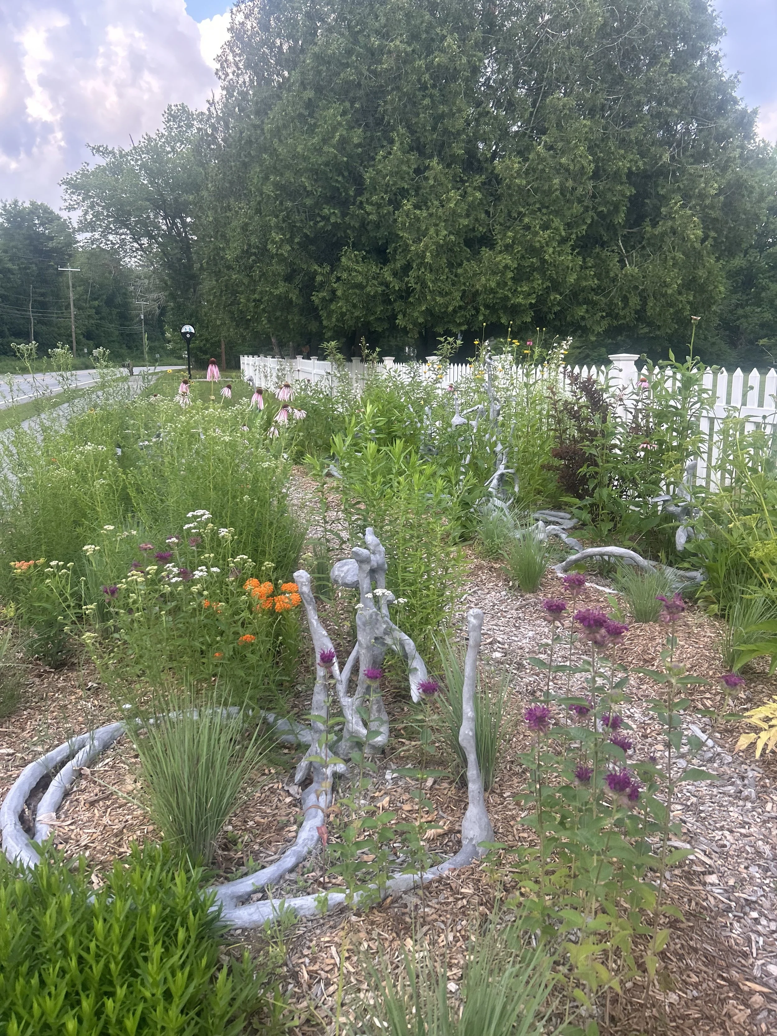 IMG_5105.jpeg