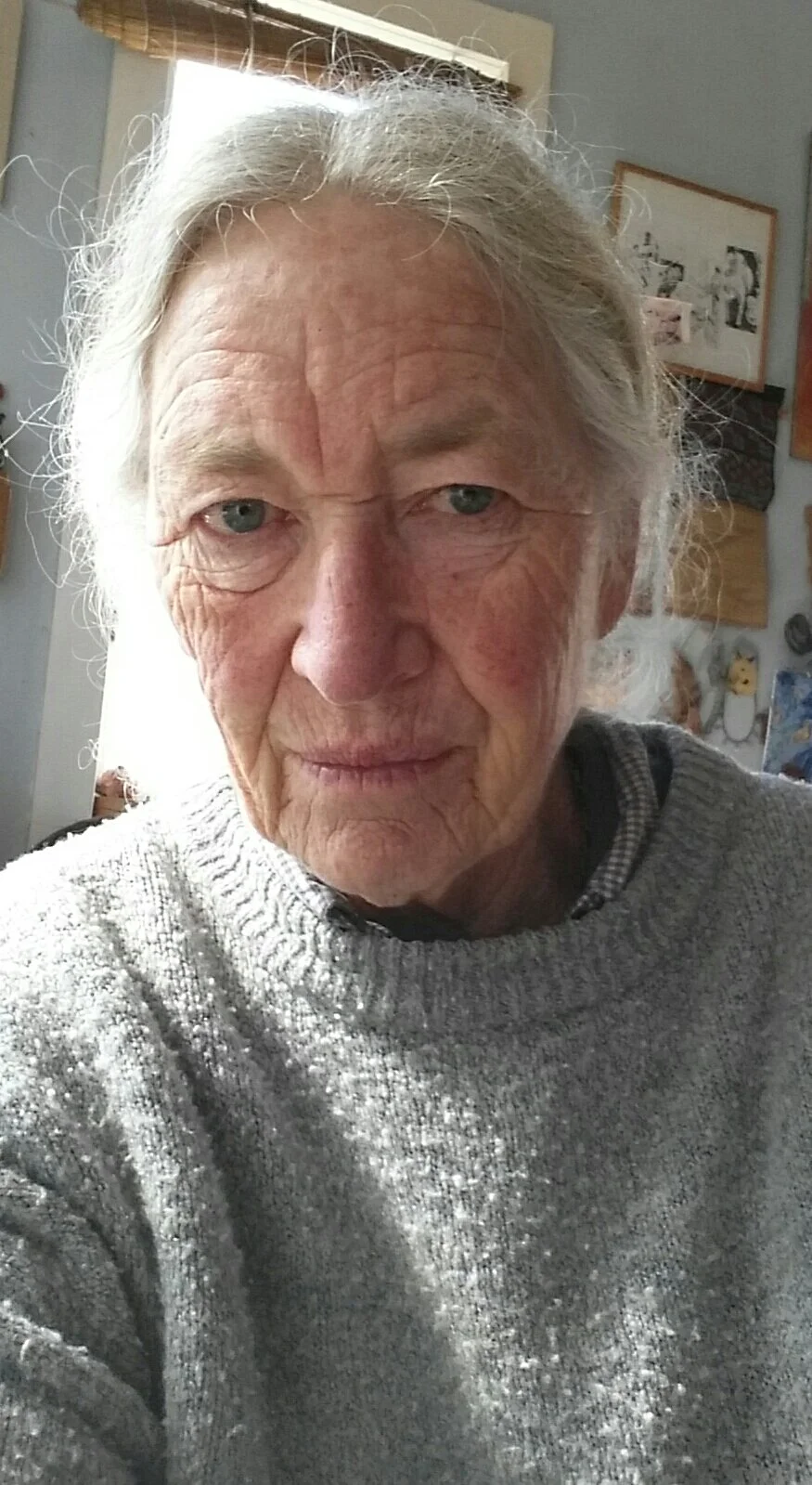 Kate McLean    Kate McLean lives in Auckland where she combines her interests in clay, print and photography. She has a constant interest in developing these three disciplines, in work that is challenging and extending. At times she and Matt McLean combines their skills    Kate makes a range of varied work, from large-scale public art works right through to small-scale wearable brooches.