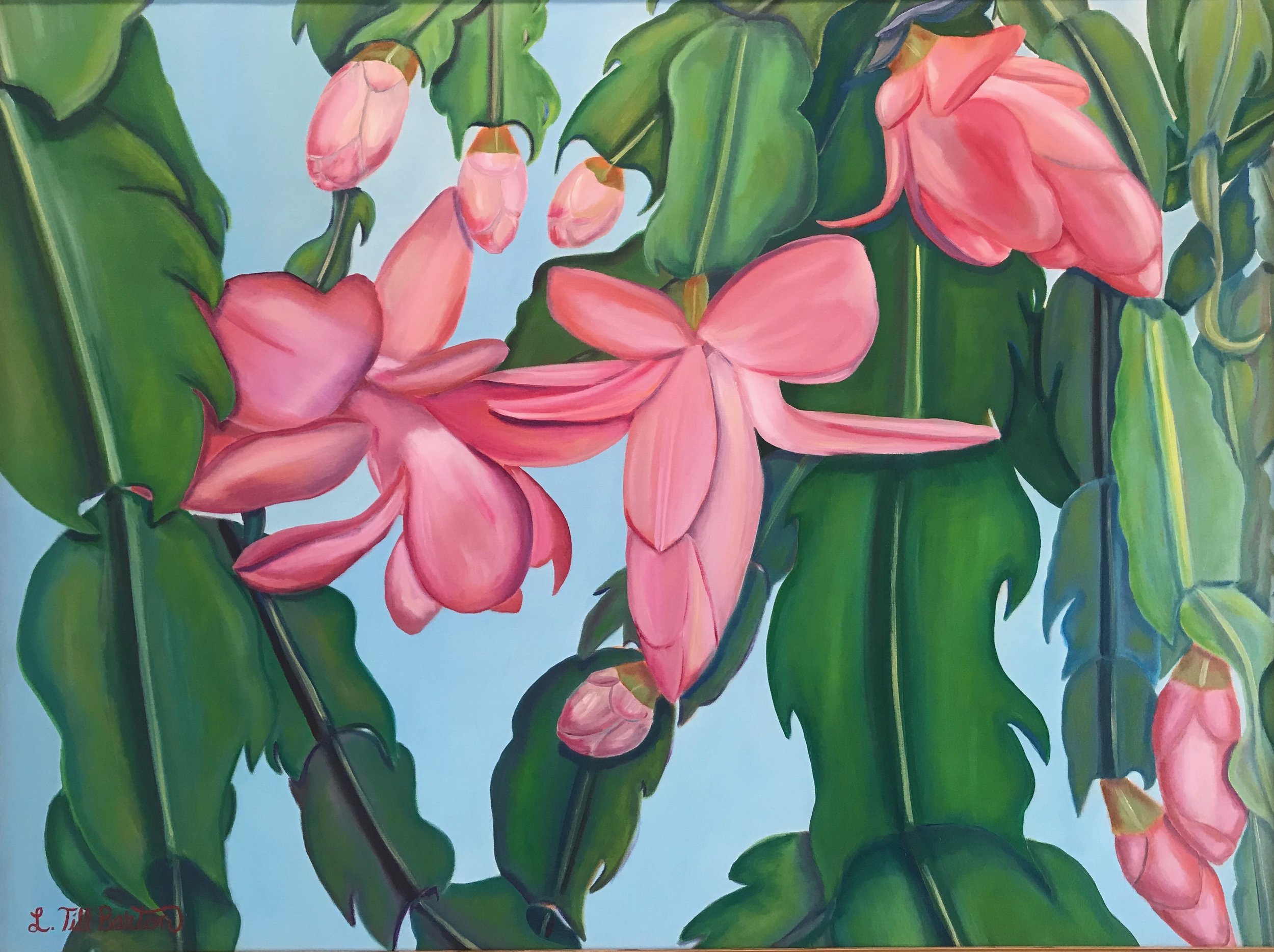 Limited Edition Print: Botanical