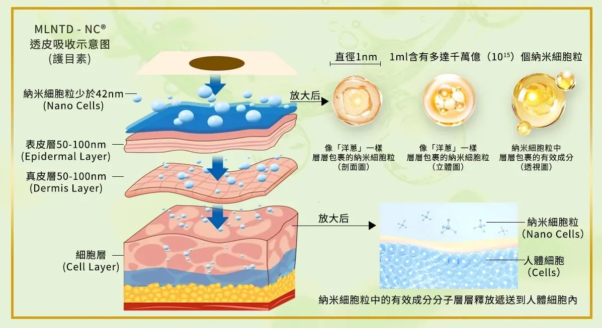 original (1).webp