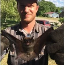 Brownbats-225x300.jpg