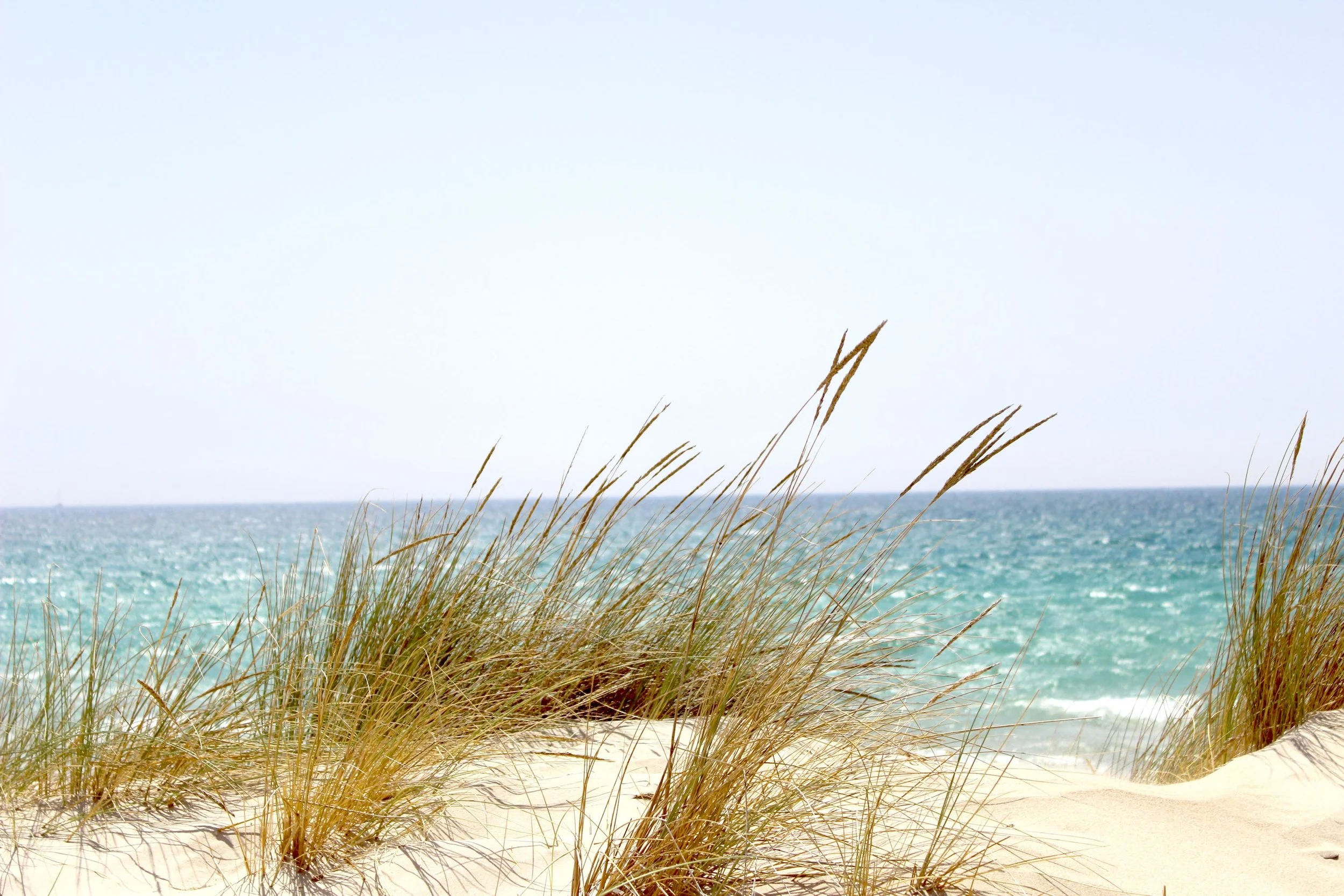 beach-dawn-dune-662994.jpg
