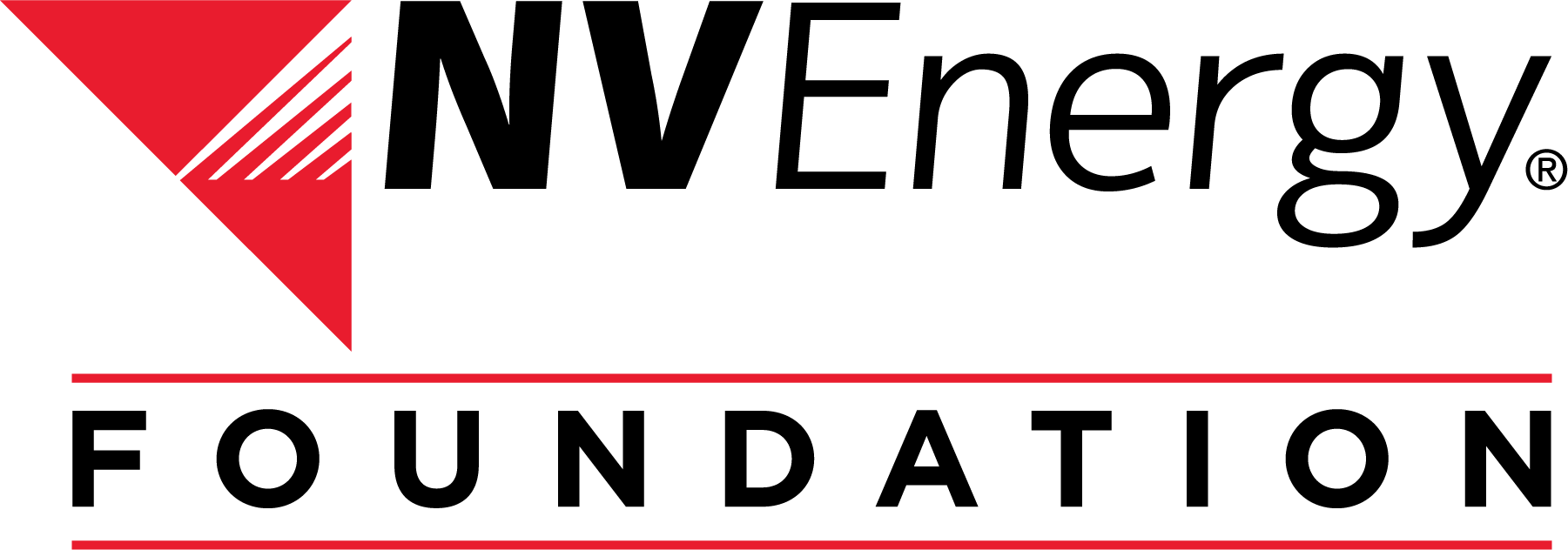 NVE Foundation logo.png