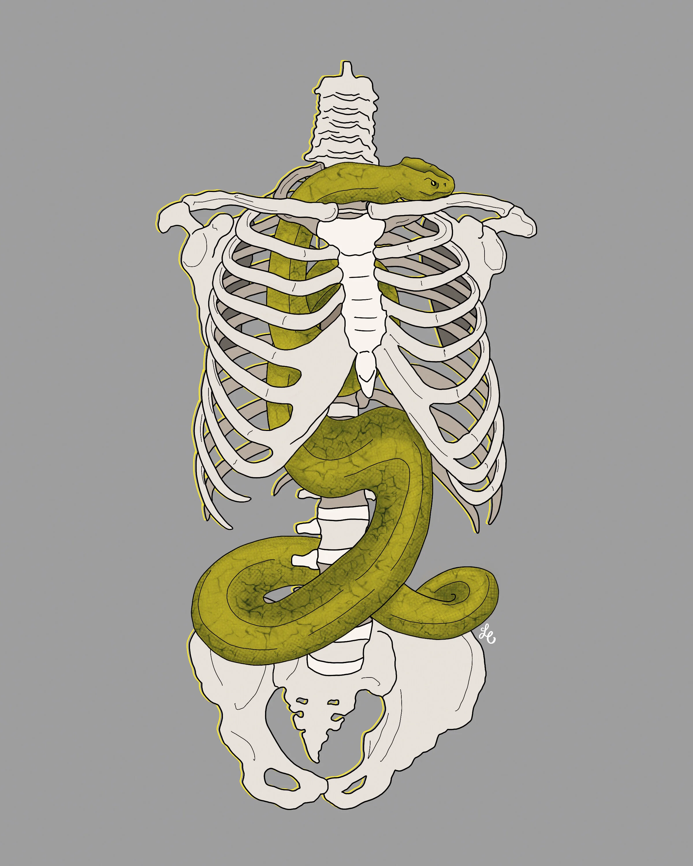 Skeleton and Snake.jpg