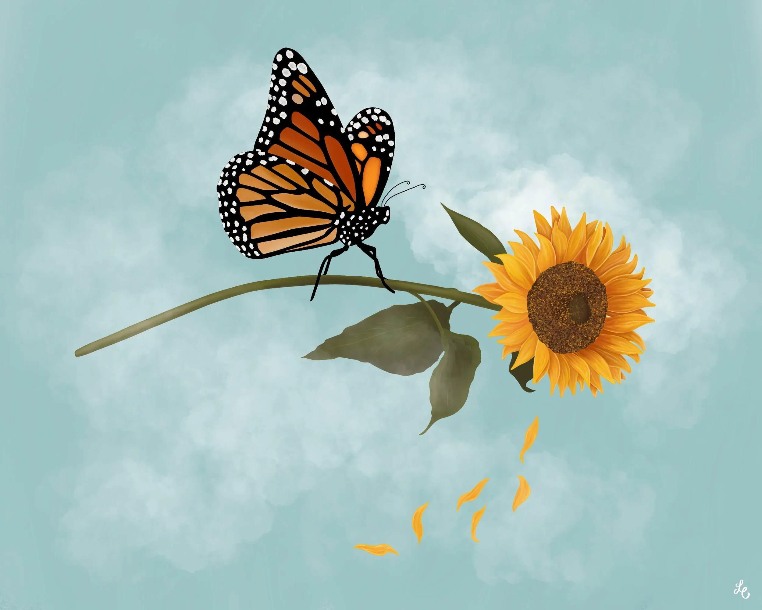 butterfly signature.JPG