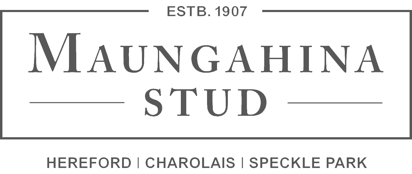 Maungahina Stud