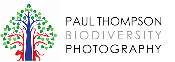 Paul Thompson Biodiversity Photographer