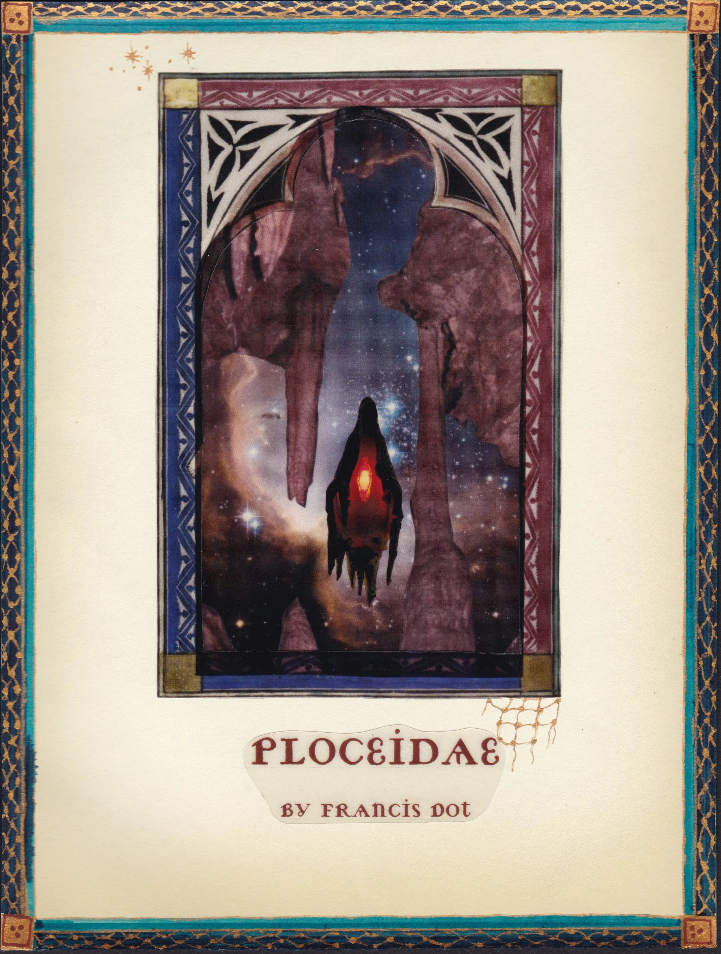 Ploceidae Cover Page - 600 DPI copy.jpeg