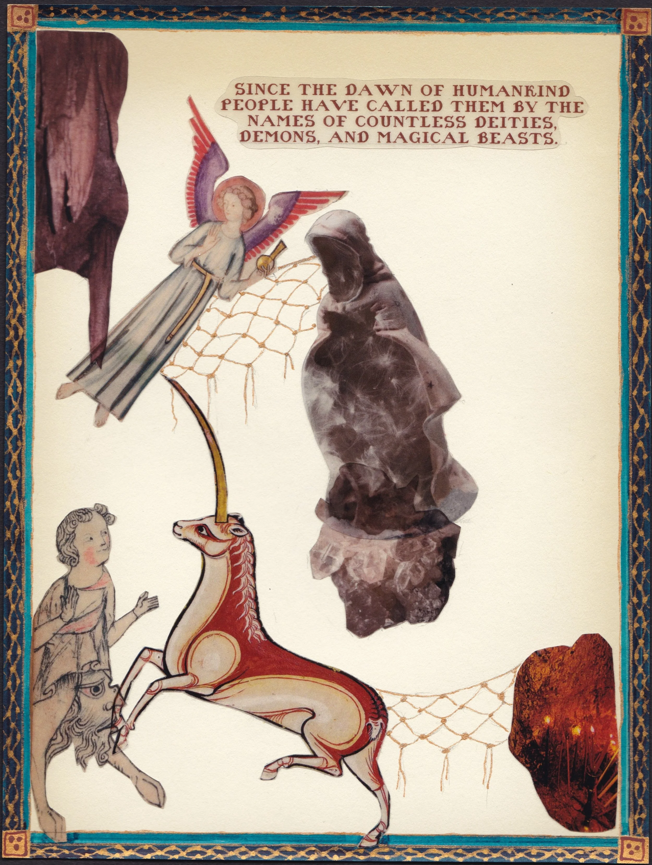 Ploceidae P 2  - 600 DPI 1.jpeg