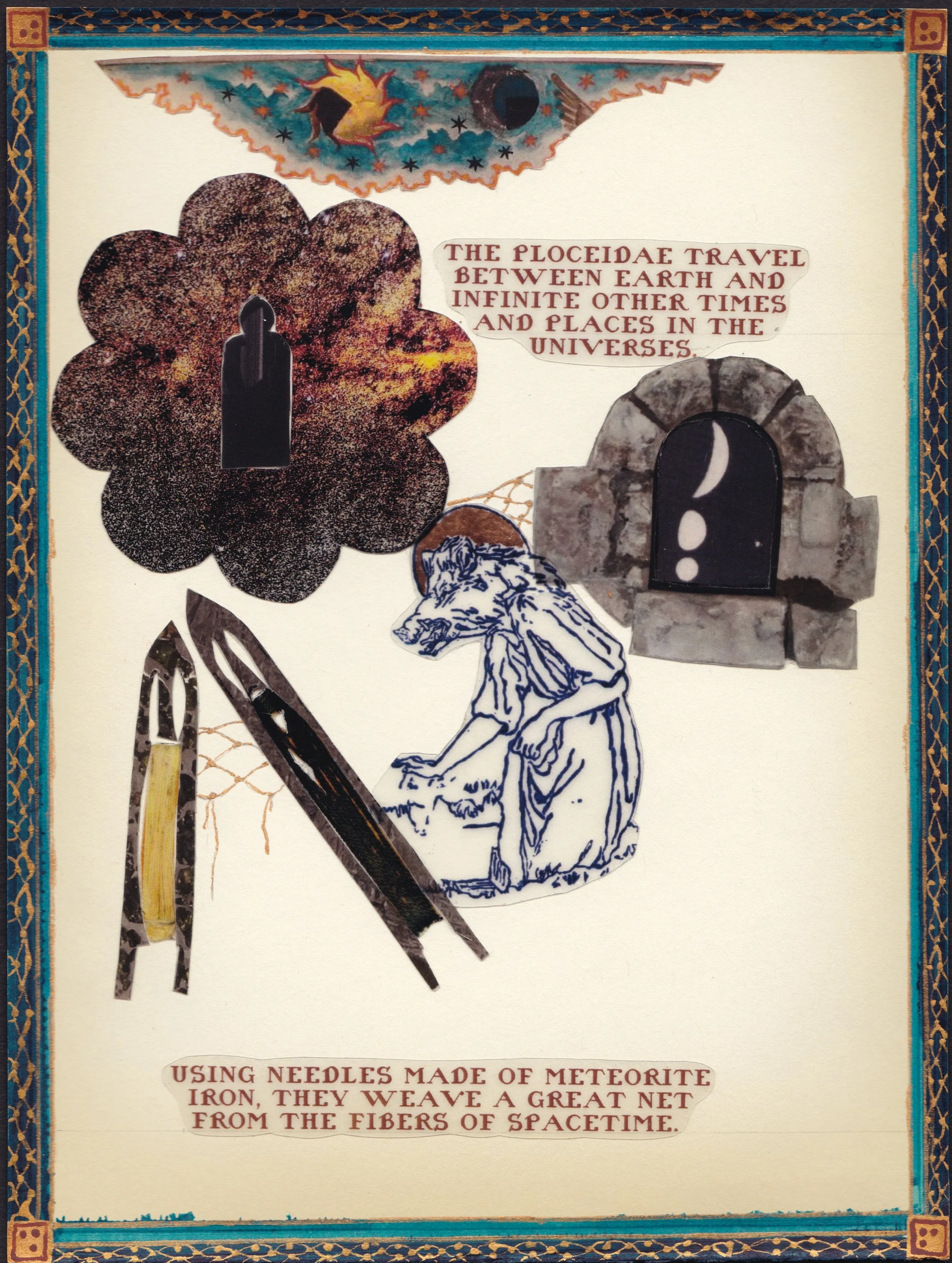 Ploceidae P 3  - 600 DPI.jpeg