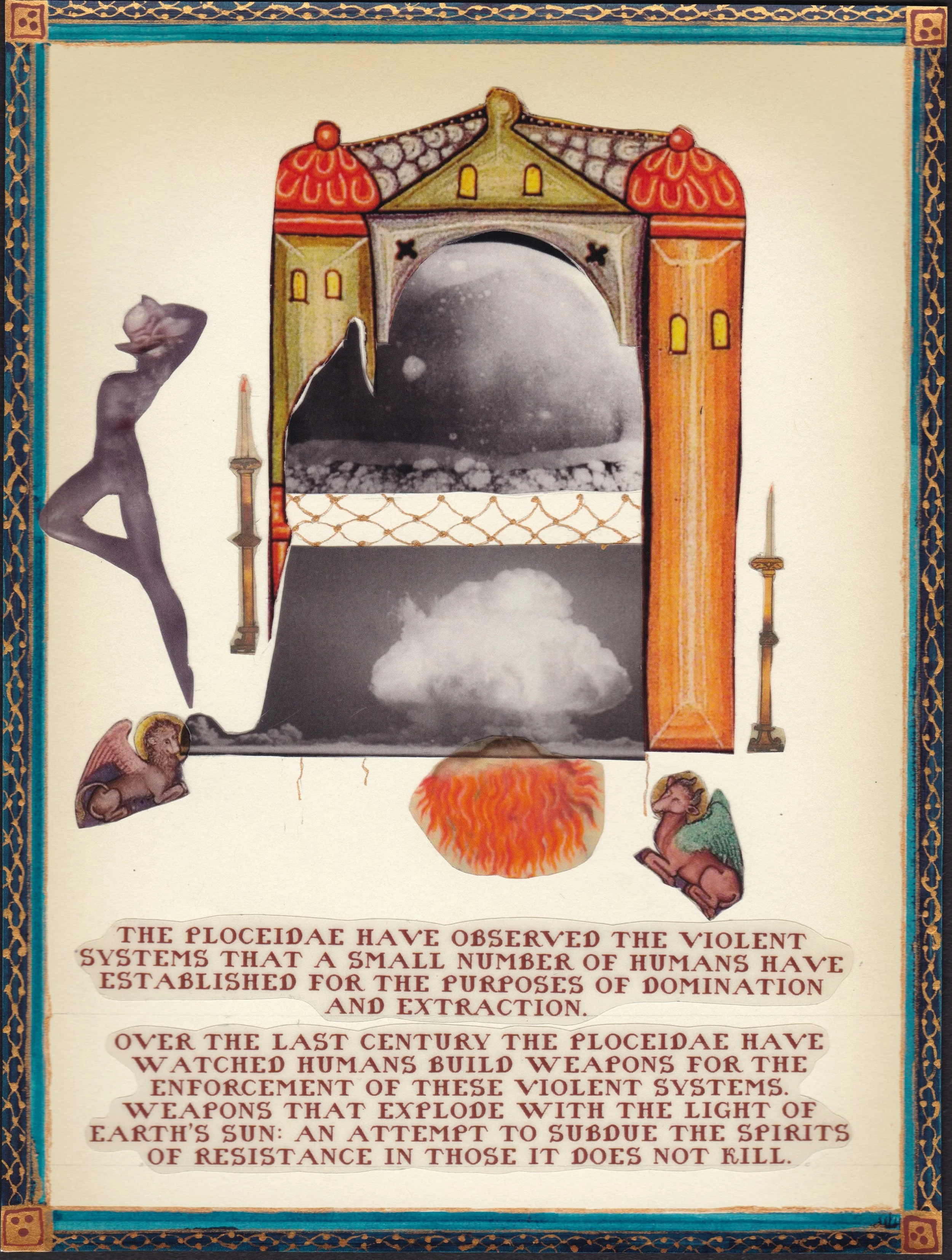 Ploceidae P 5  - 600 DPI.jpeg