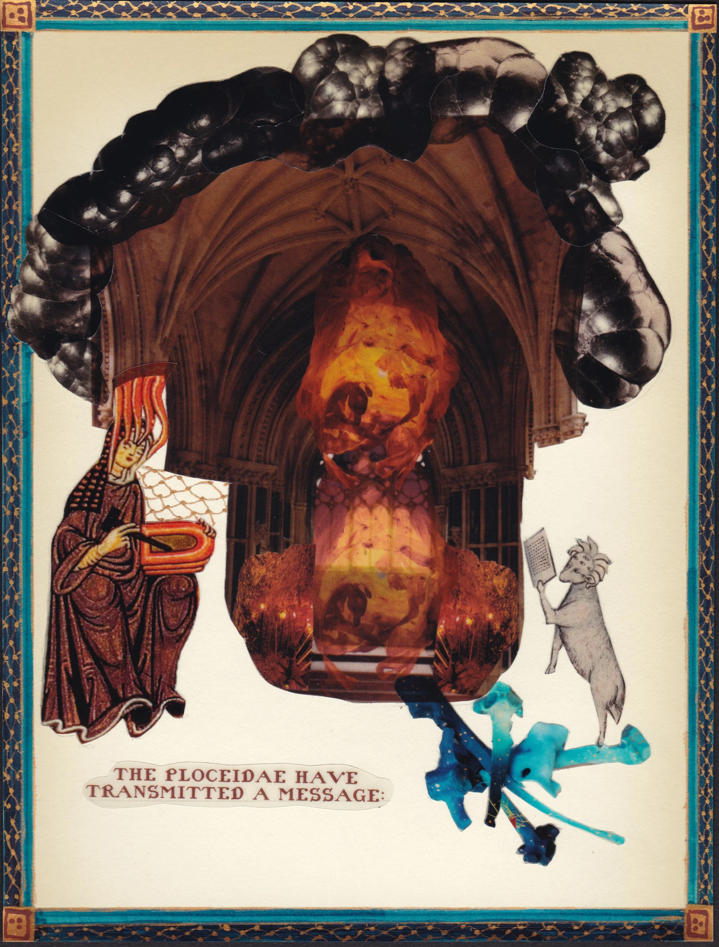 Ploceidae P 8  - 600 DPI.jpeg