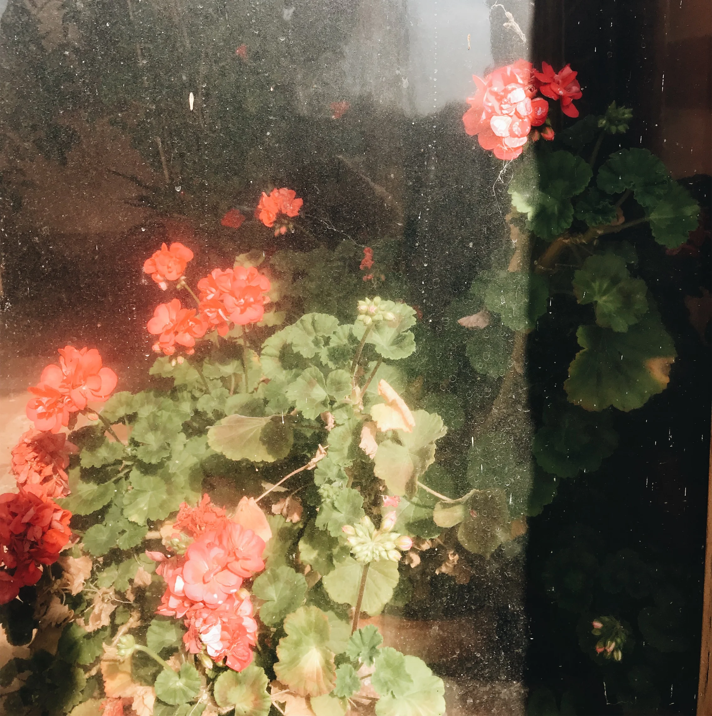 JPEG image-A4DCD98BD5EA-55.jpeg