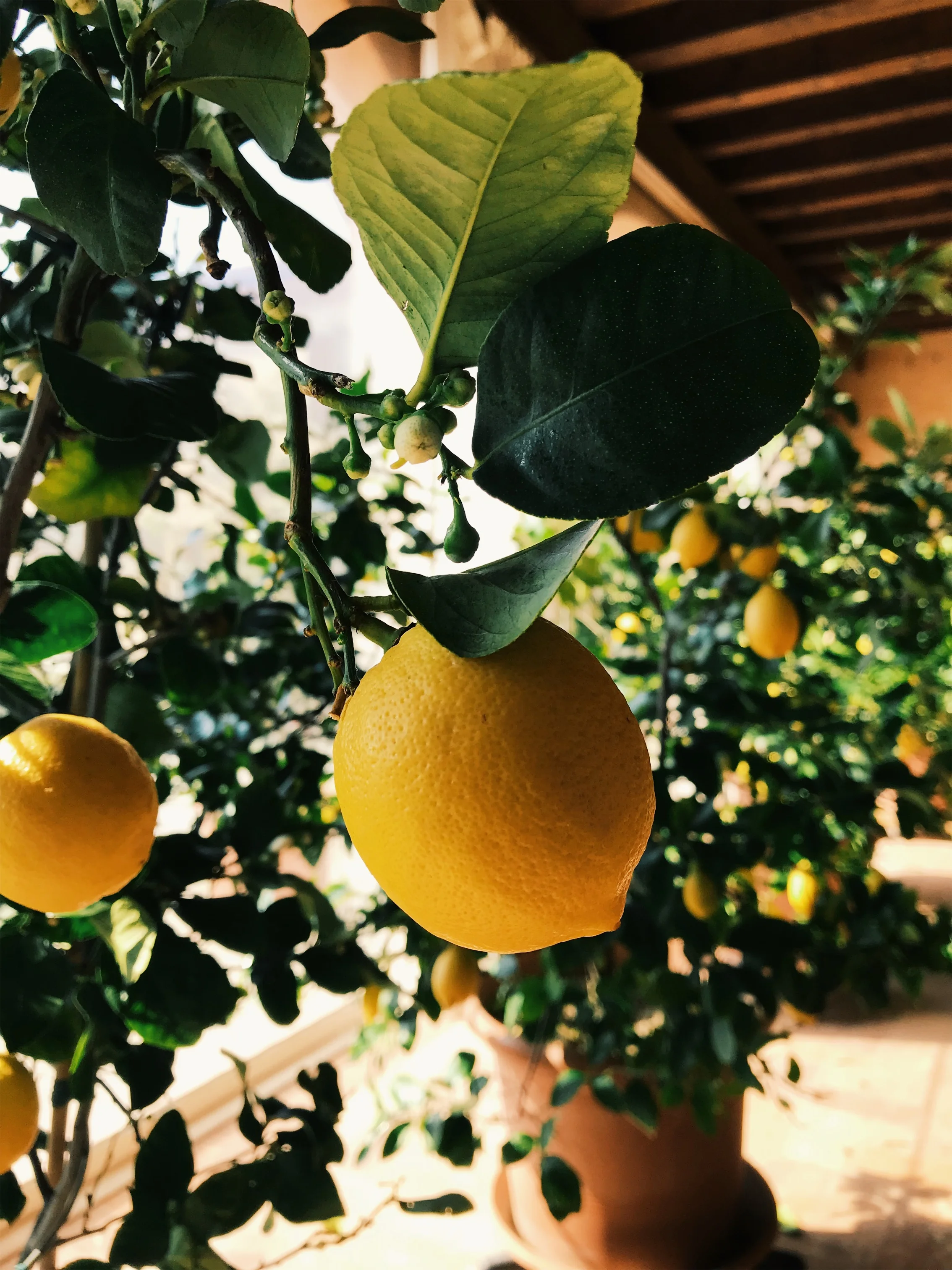 JPEG image-A4DCD98BD5EA-54.jpeg