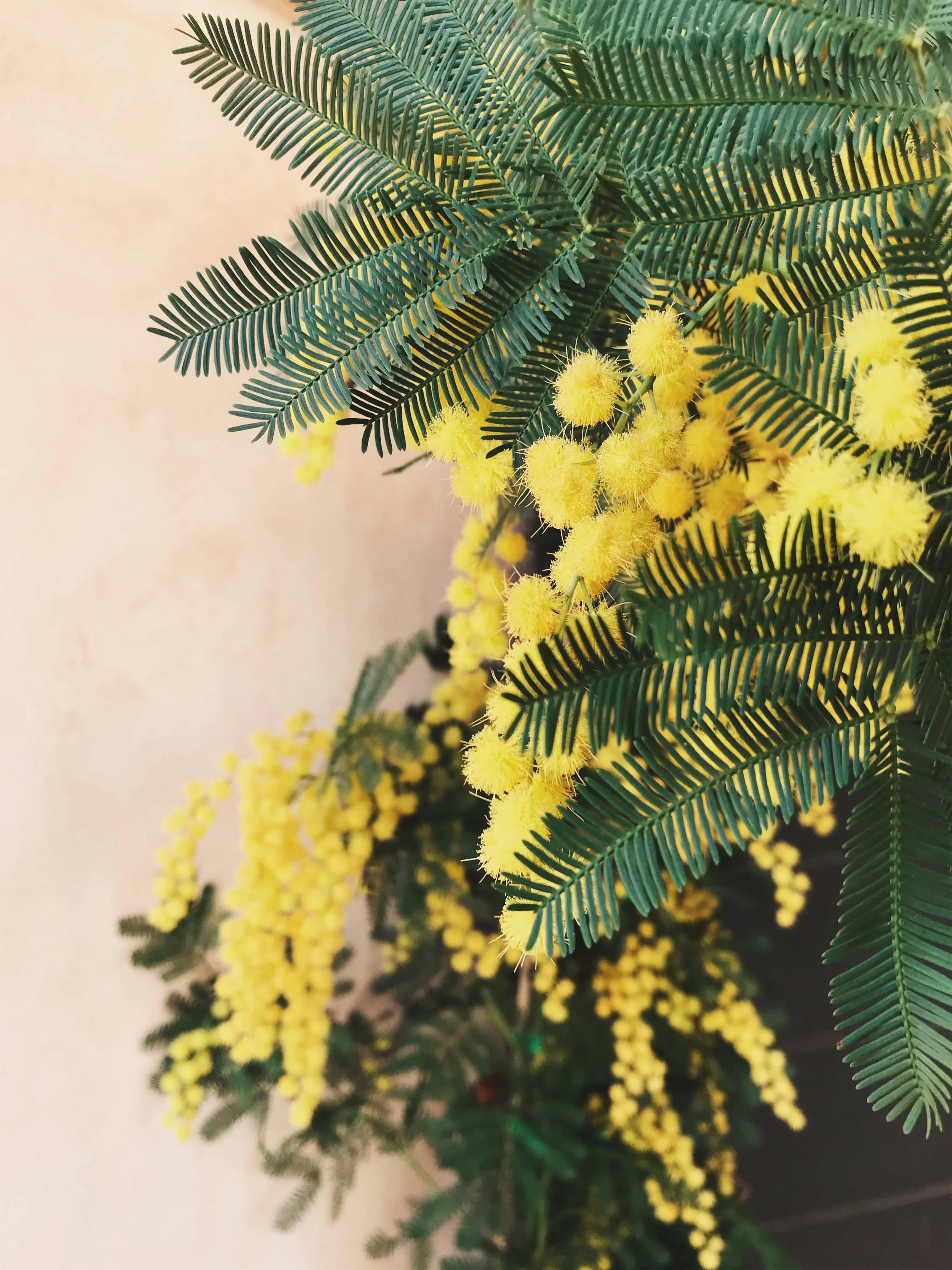 JPEG image-A4DCD98BD5EA-57.jpeg