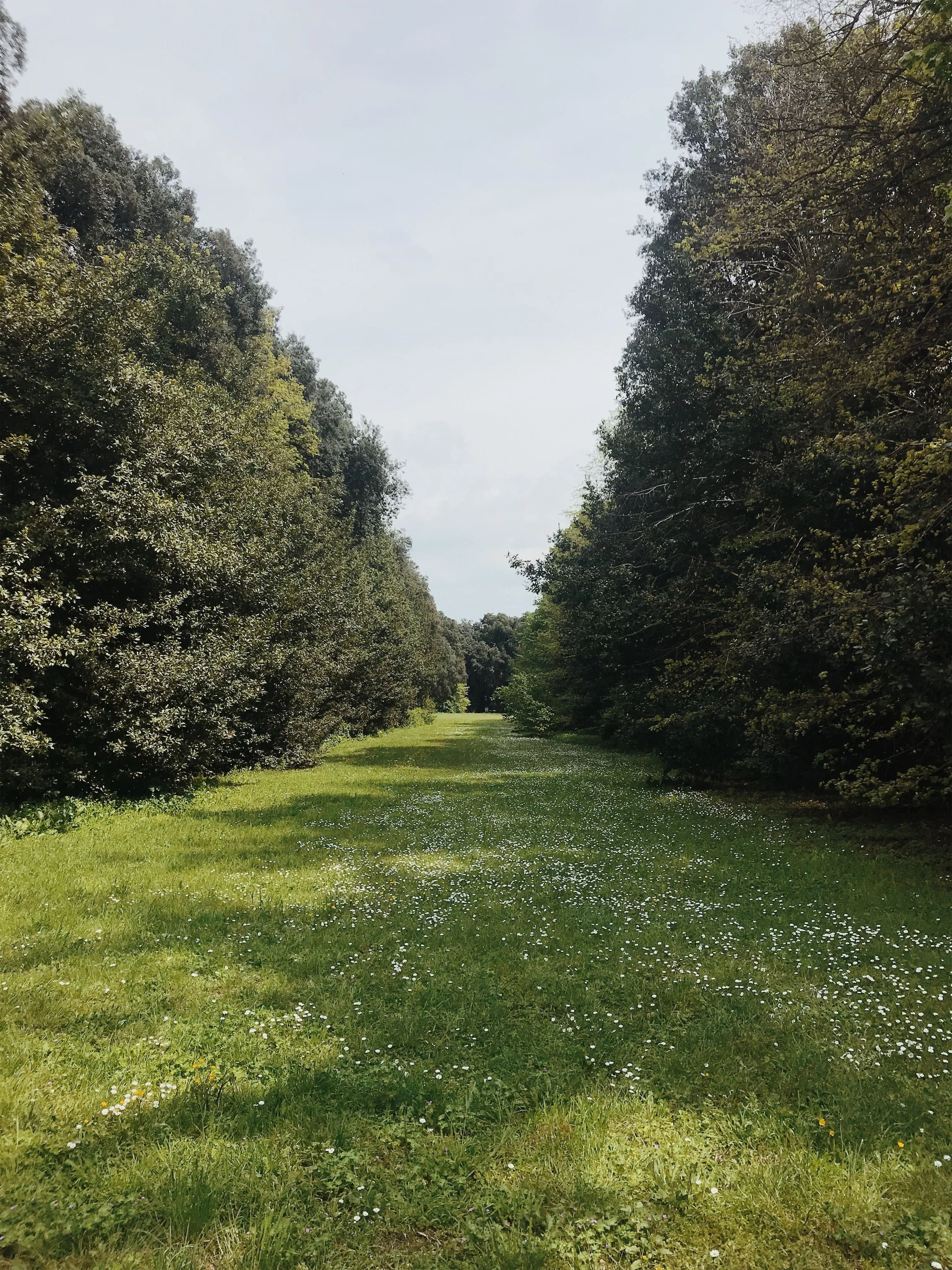 JPEG image-ED3442DCFCD0-48.jpeg