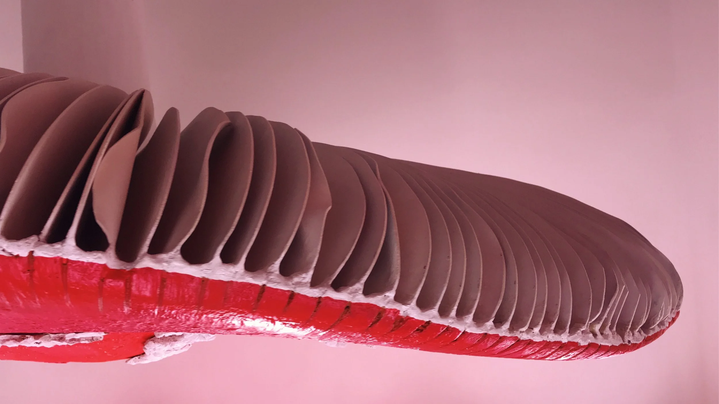 JPEG image-A4DCD98BD5EA-3.jpeg